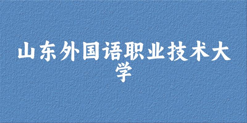 山东外国语职业技术大学2024年全国各省录取分数线与位次排名汇总