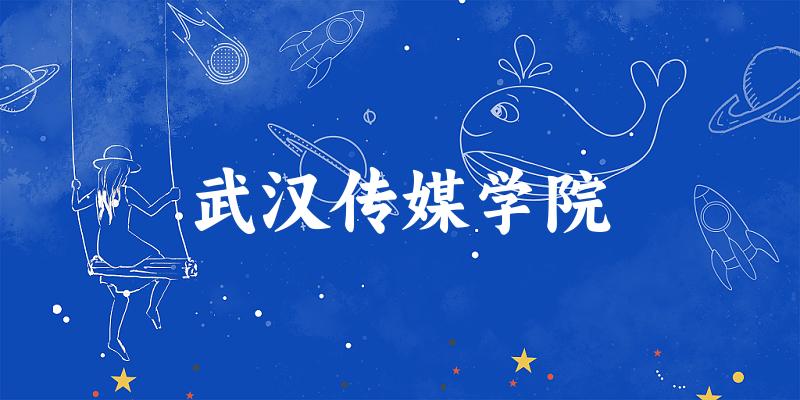 武汉传媒学院2024年全国各省录取分数线与位次排名汇总