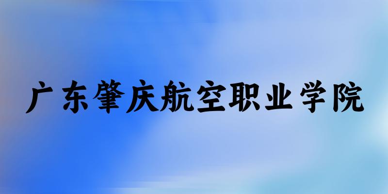 广东肇庆航空职业学院2024年全国各省录取分数线与位次排名汇总