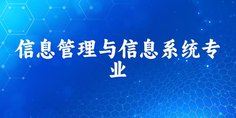 信息管理与信息系统专业广西录取分数线