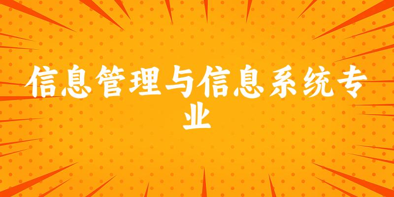 信息管理与信息系统专业福建录取分数线
