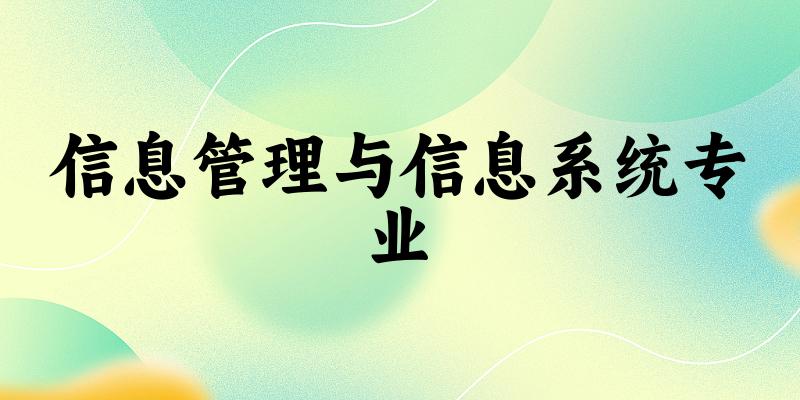 信息管理与信息系统专业广东录取分数线