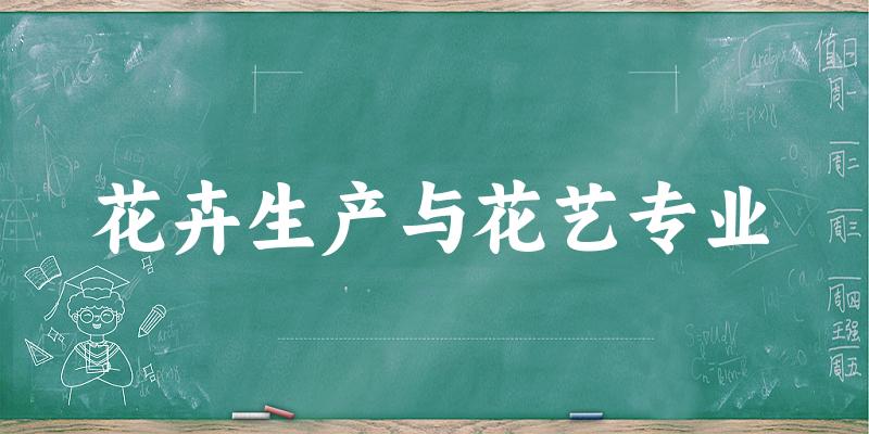 花卉生产与花艺专业福建录取分数线