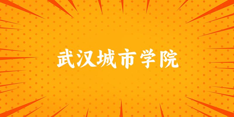 武汉城市学院2025各省录取分数线汇总