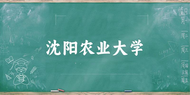 沈阳农业大学录取分数线2024年多少分? 附2024年最低录取位次