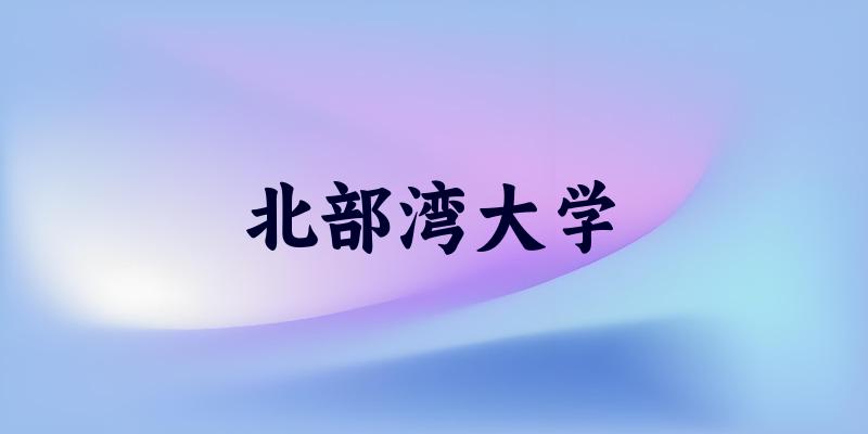 北部湾大学2025年全国各省录取分数线与位次排名汇总