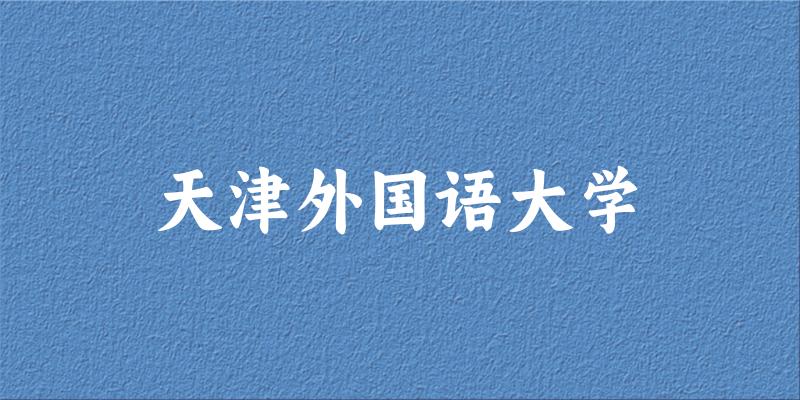 天津外国语大学2024年全国各省录取分数线与位次排名汇总