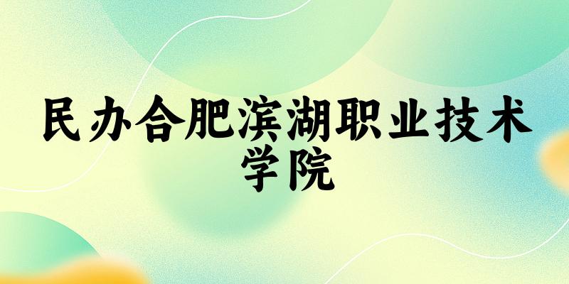 民办合肥滨湖职业技术学院2025各省录取分数线汇总