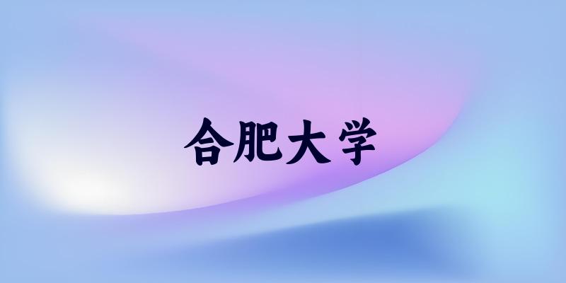 合肥大学2025年全国各省录取分数线与位次排名汇总