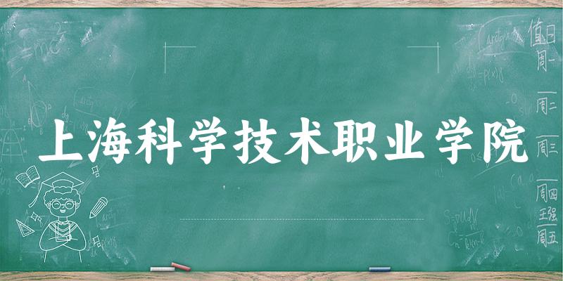 上海科学技术职业学院录取分数线2024年多少分? 附2024年最低录取位次
