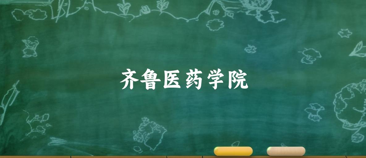 齐鲁医药学院2024年全国各省录取分数线与位次排名汇总