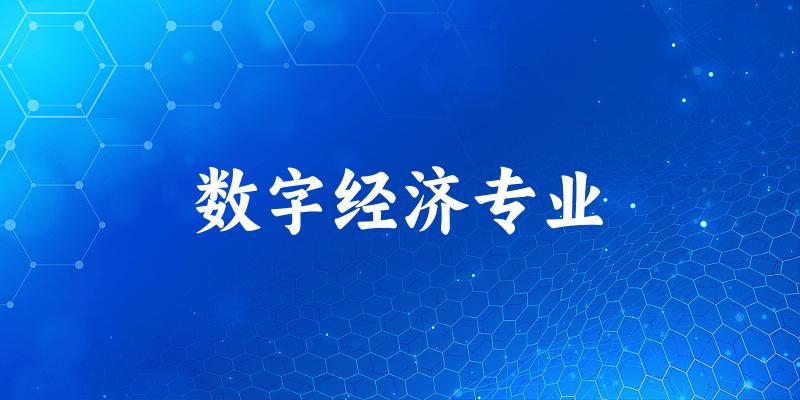 数字经济专业广西录取分数线