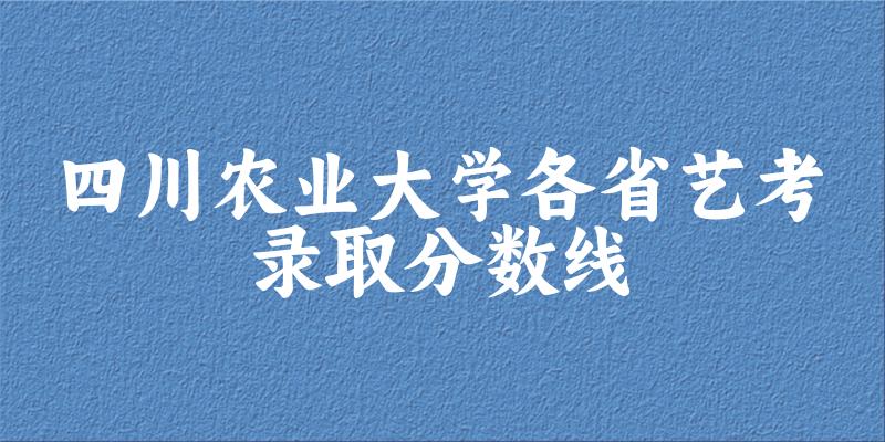 四川农业大学各省艺考录取分数线