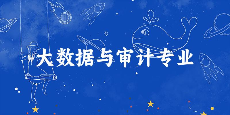 大数据与审计专业广西录取分数线