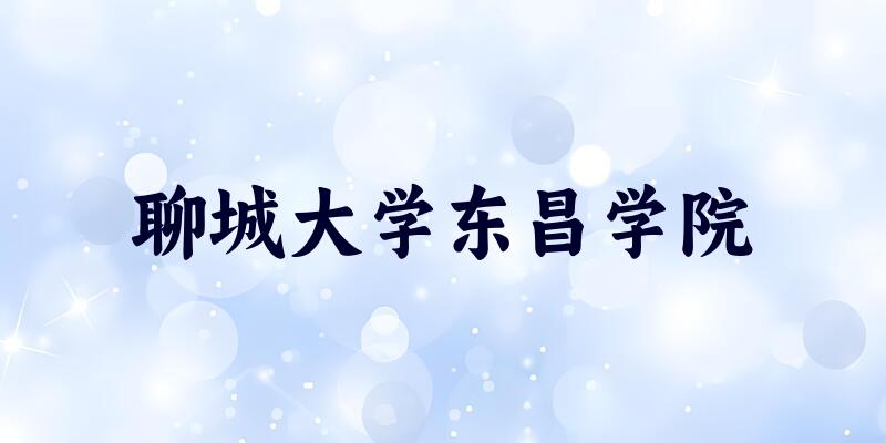 聊城大学东昌学院2025各省录取分数线汇总