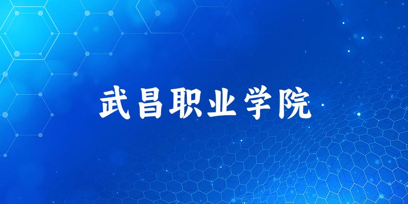 武昌职业学院2025各省录取分数线汇总