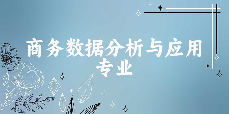 商务数据分析与应用专业广东录取分数线