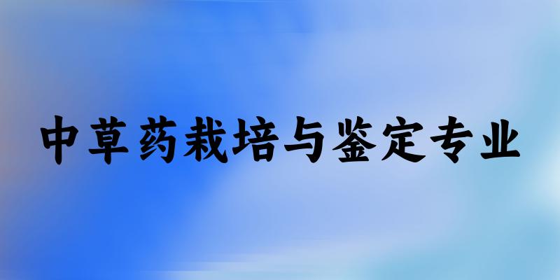 中草药栽培与鉴定专业广西录取分数线