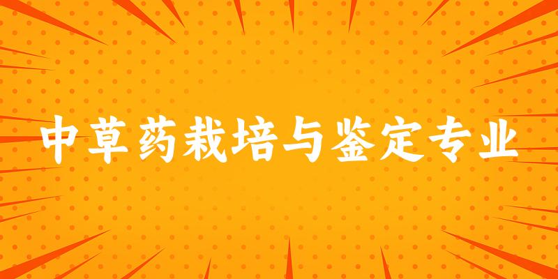 中草药栽培与鉴定专业广东录取分数线