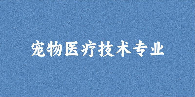 宠物医疗技术专业宁夏录取分数线