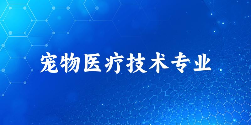 宠物医疗技术专业福建录取分数线