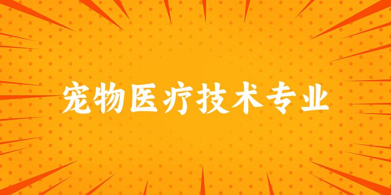 宠物医疗技术专业云南录取分数线