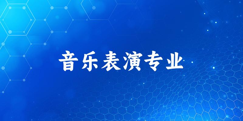 音乐表演专业宁夏录取分数线