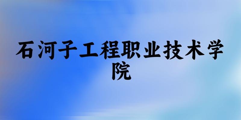 石河子工程职业技术学院2024年全国各省录取分数线与位次排名汇总