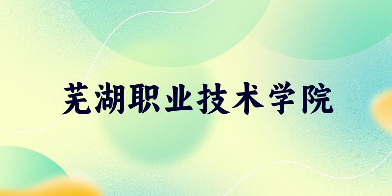 芜湖职业技术学院2025年全国各省录取分数线与位次排名汇总