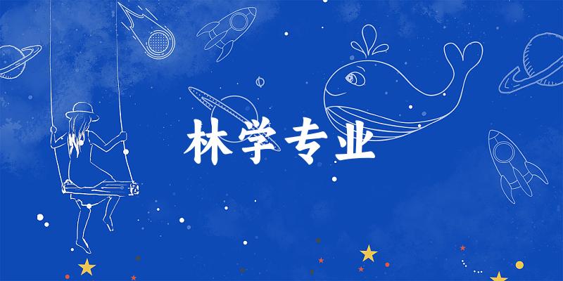 林学专业广西录取分数线