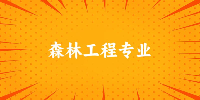 全国森林工程专业大学一览：6所大学名单汇总