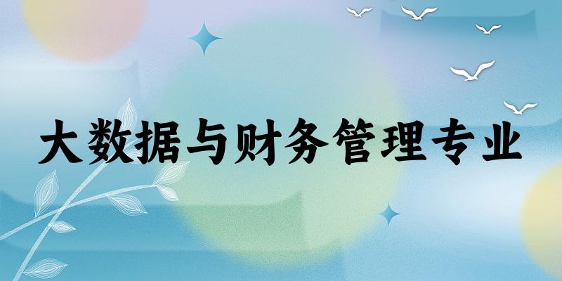 大数据与财务管理专业广西录取分数线