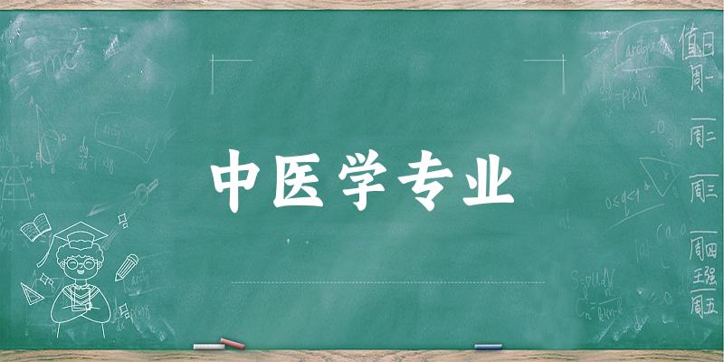 中医学专业宁夏录取分数线