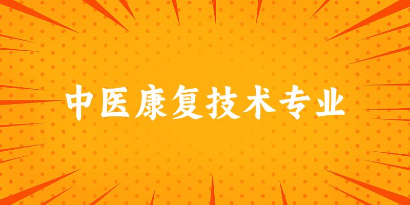 中医康复技术专业广东录取分数线