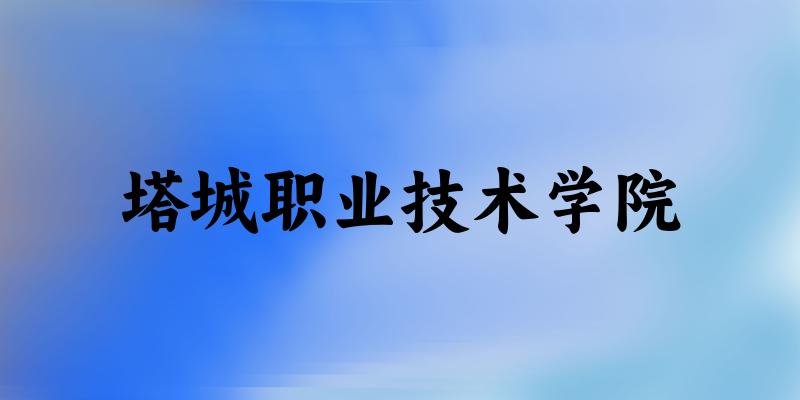 塔城职业技术学院录取分数线2024年多少分? 附2024年最低录取位次