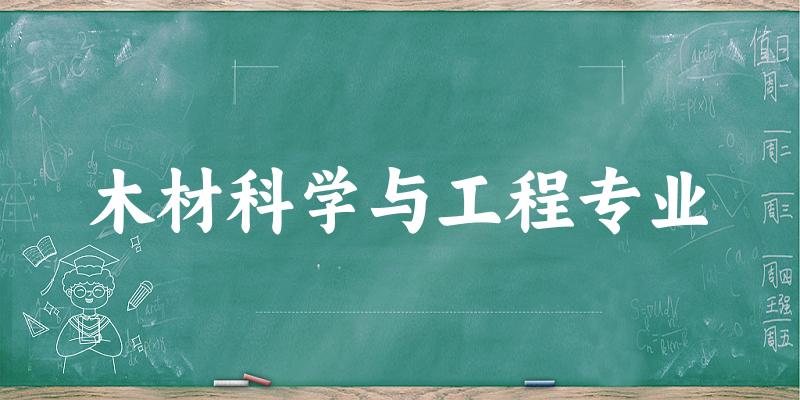 木材科学与工程专业广东录取分数线