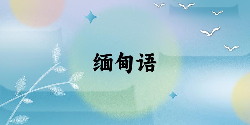 缅甸语专业四川录取分数线