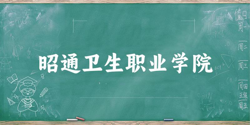 昭通卫生职业学院2024年全国各省录取分数线与位次排名汇总