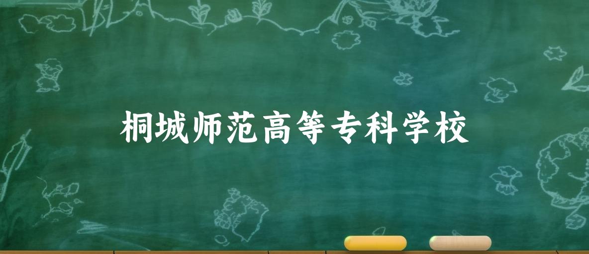 桐城师范高等专科学校2025各省录取分数线汇总