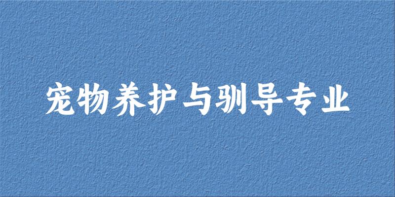 宠物养护与驯导专业福建录取分数线