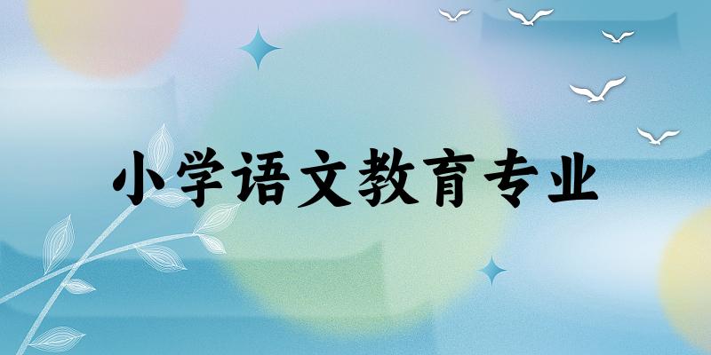 小学语文教育专业广西录取分数线