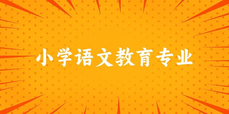 小学语文教育专业宁夏录取分数线