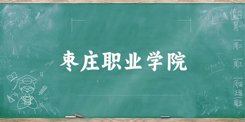 枣庄职业学院2025年全国各省录取分数线与位次排名汇总