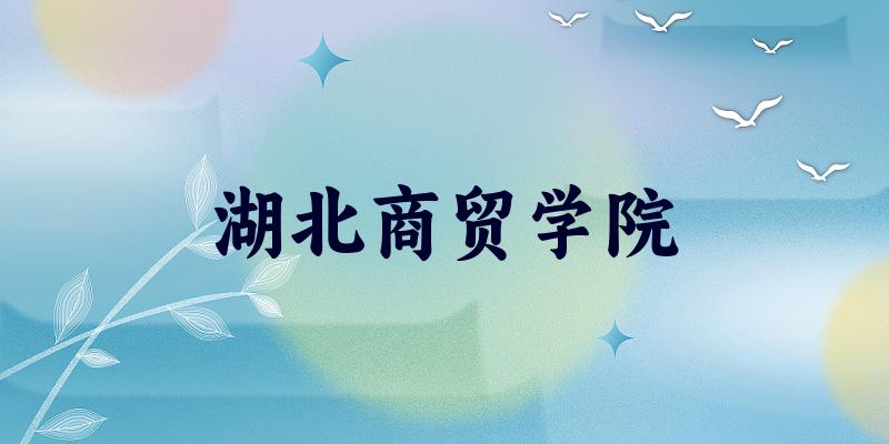 湖北商贸学院2025年全国各省录取分数线与位次排名汇总